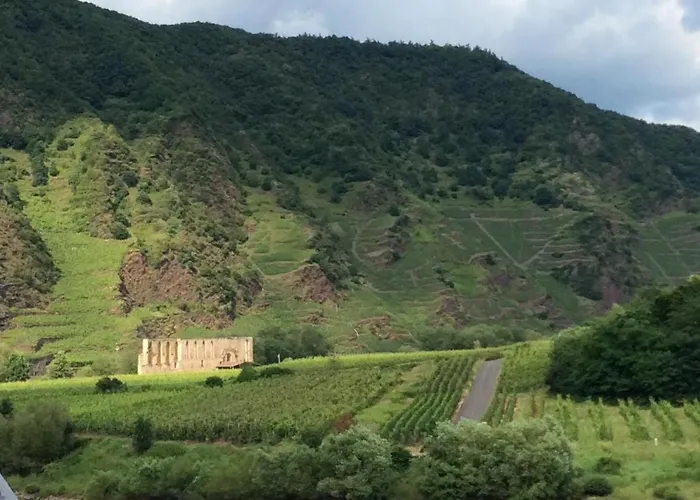 Mosel 2.0 Casa de Férias